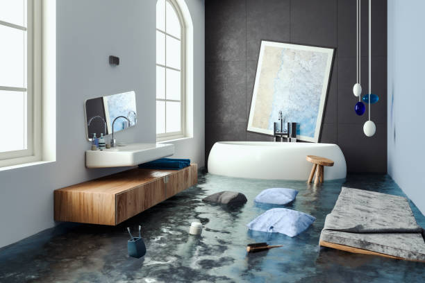 Best Professional water damage repair  in Louisburg, NC