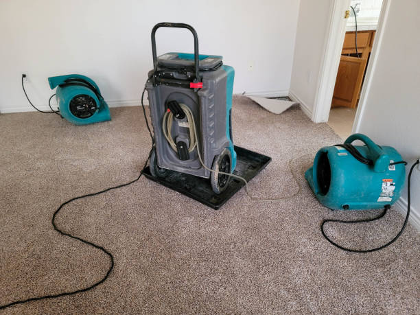 Best 24/7 water damage repair  in Louisburg, NC