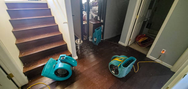 Best 24/7 water damage repair  in Louisburg, NC
