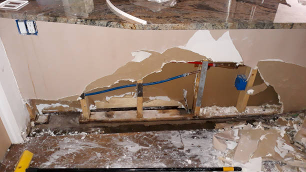 Best 24-hour water damage restoration  in Louisburg, NC