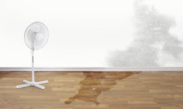 Best Water damage restoration near me  in Louisburg, NC