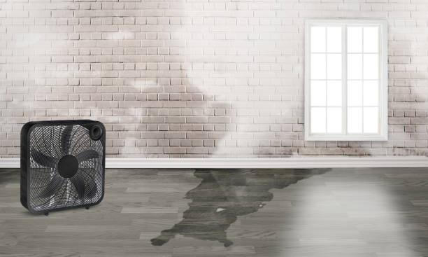 Best Emergency water damage restoration  in Louisburg, NC