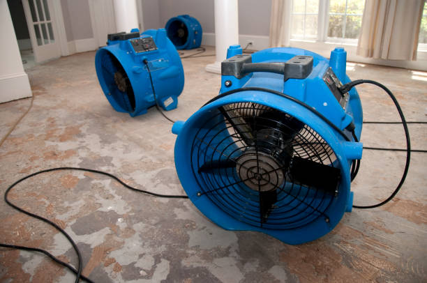 Best Water damage restoration cost  in Louisburg, NC