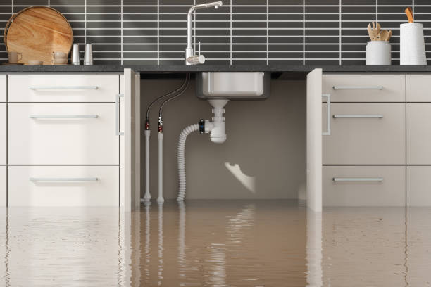 Best Water damage contractors near me  in Louisburg, NC