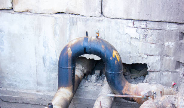 Best Water damage cleanup near me  in Louisburg, NC